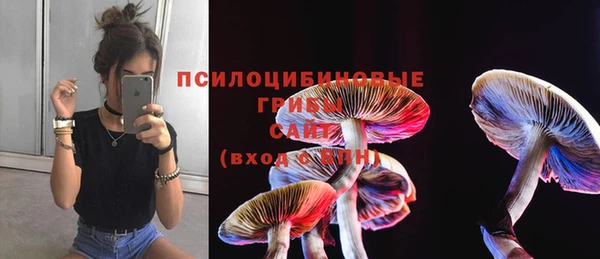 таблы Алексеевка