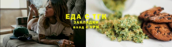 хмурый Алексин