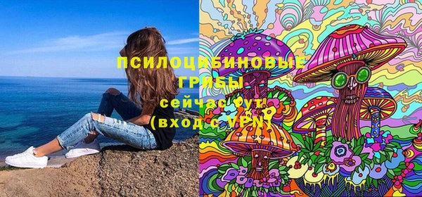 хмурый Алексин