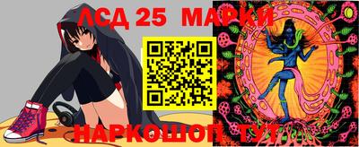 шишки Нарткала