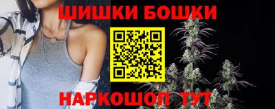 шишки Нарткала