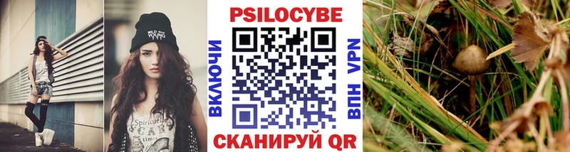 Псилоцибиновые грибы мухоморы  наркота  Сухой Лог 