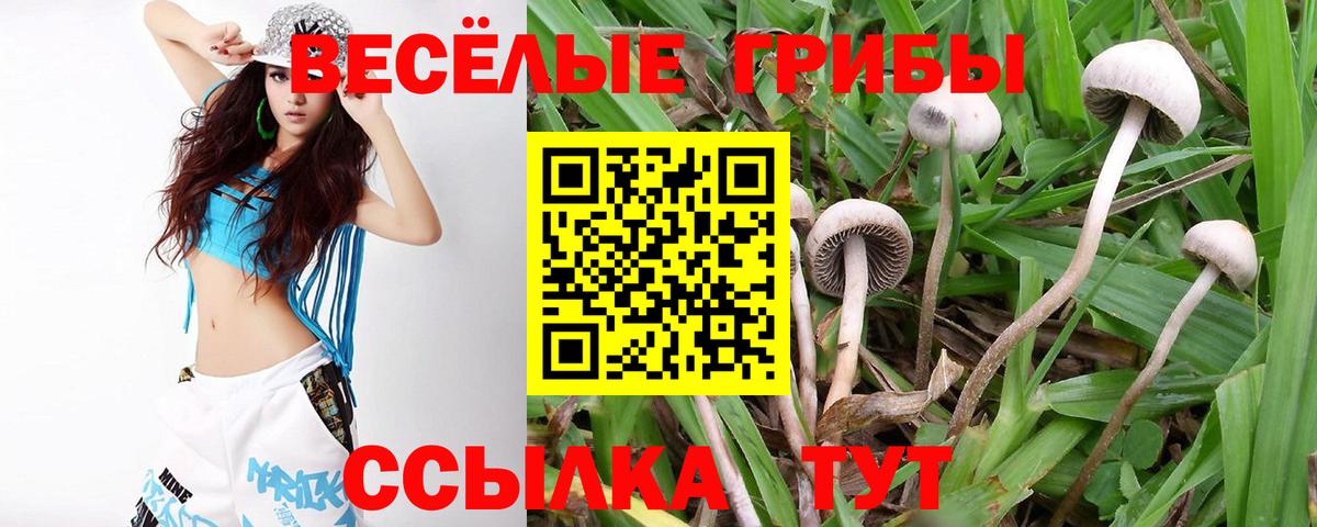 Галлюциногенные грибы Cubensis  Вход с VPN  Сухой Лог 